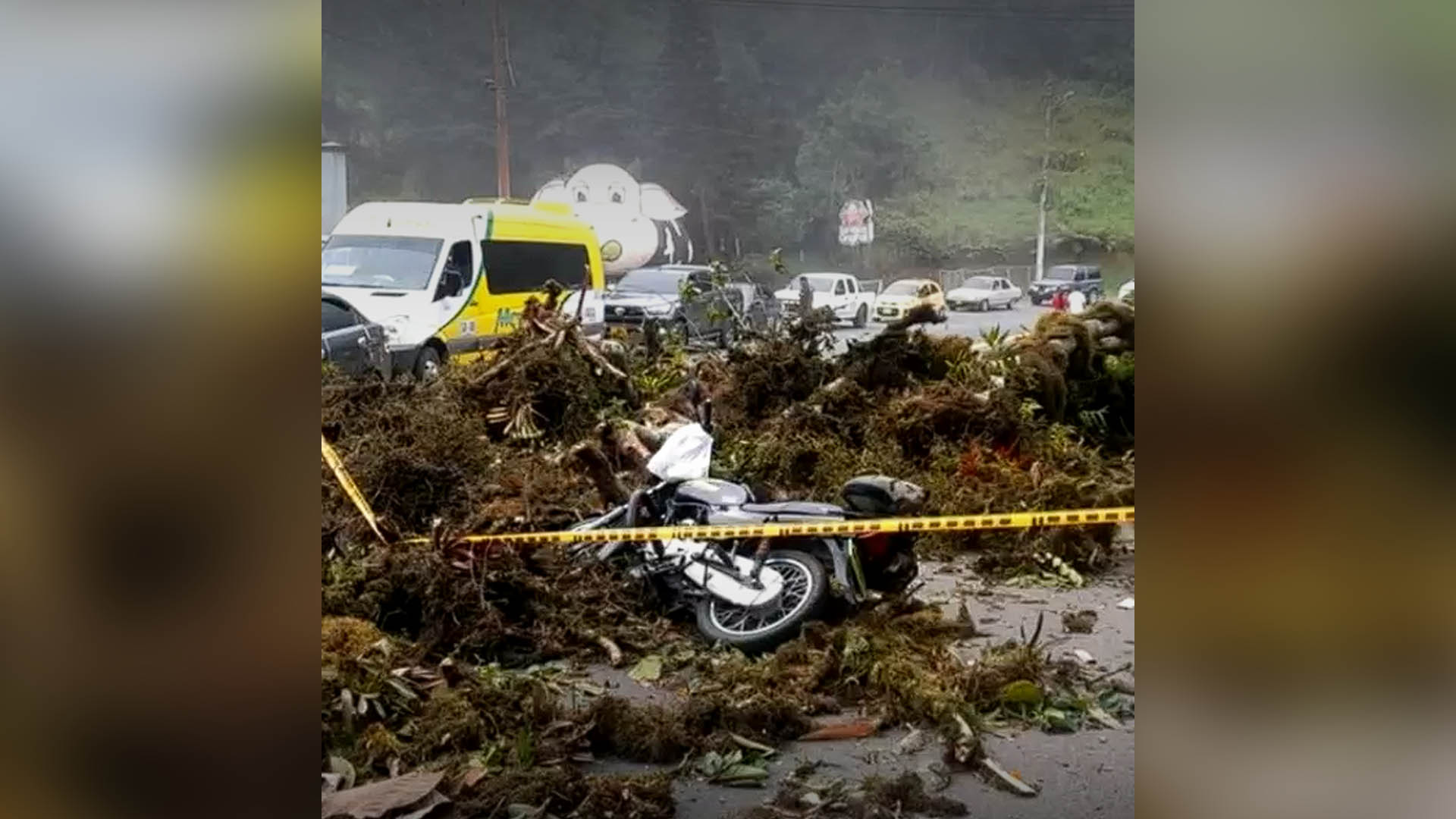 A motociclista le cayó un árbol encima y lo mató